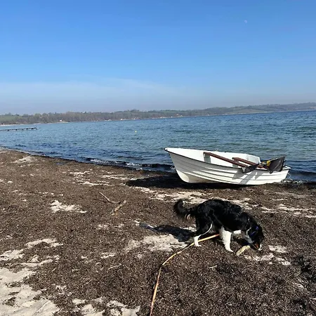 בית נופש 4 Person In Broager